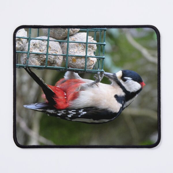 Item preview, woodpecker designed and sold by KathleenDawson.