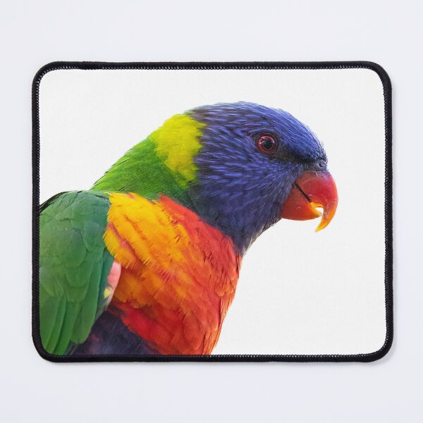 Item preview, Rainbow Lorikeet designed and sold by bella photoaus.