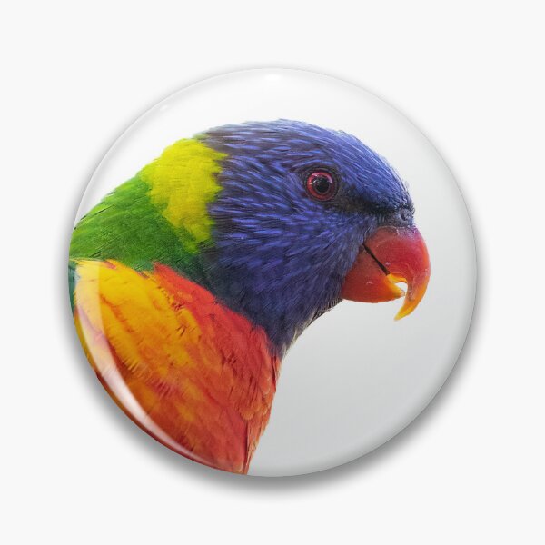 Item preview, Rainbow Lorikeet designed and sold by bella photoaus.