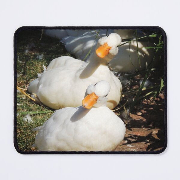 Item preview, Can't distinguish us, can you? designed and sold by Alexandra Lavizzari.