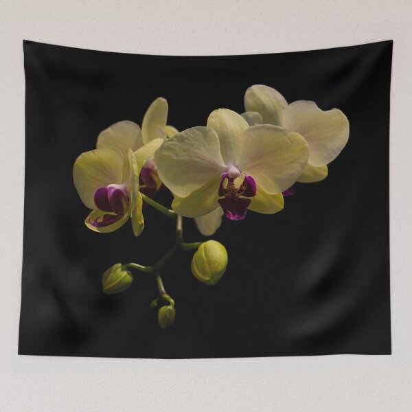 Item preview, Yellow Orchid designed and sold by myself22889.