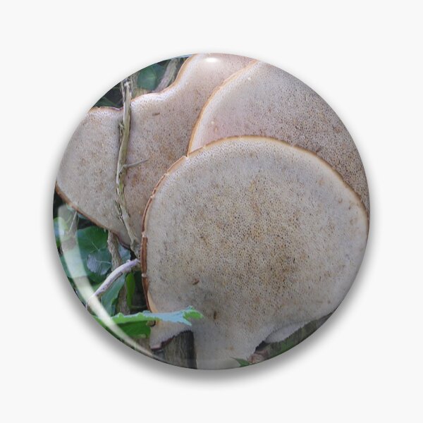 Item preview, Fungus on a Tree designed and sold by lezvee.