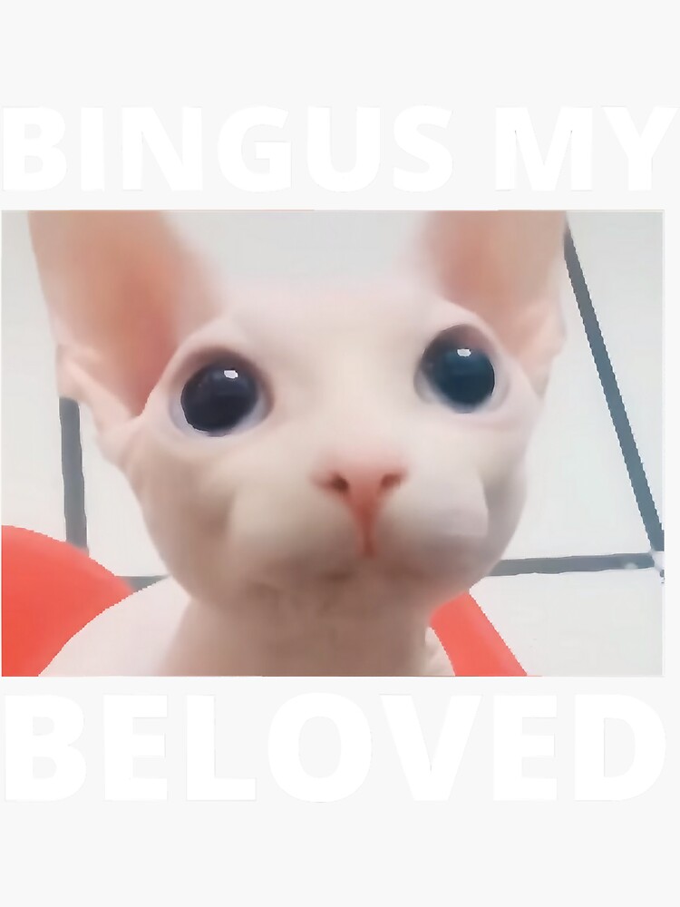 "Bingus Is Calling My Beloved Hairless" Sticker for Sale by Trinaeya23