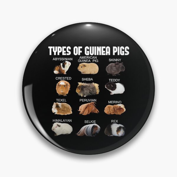 Item preview, Types Of Guinea Pigs Furry Potato Lover Kids Pet Guinea Pig Gear designed and sold by DynamicDesign.