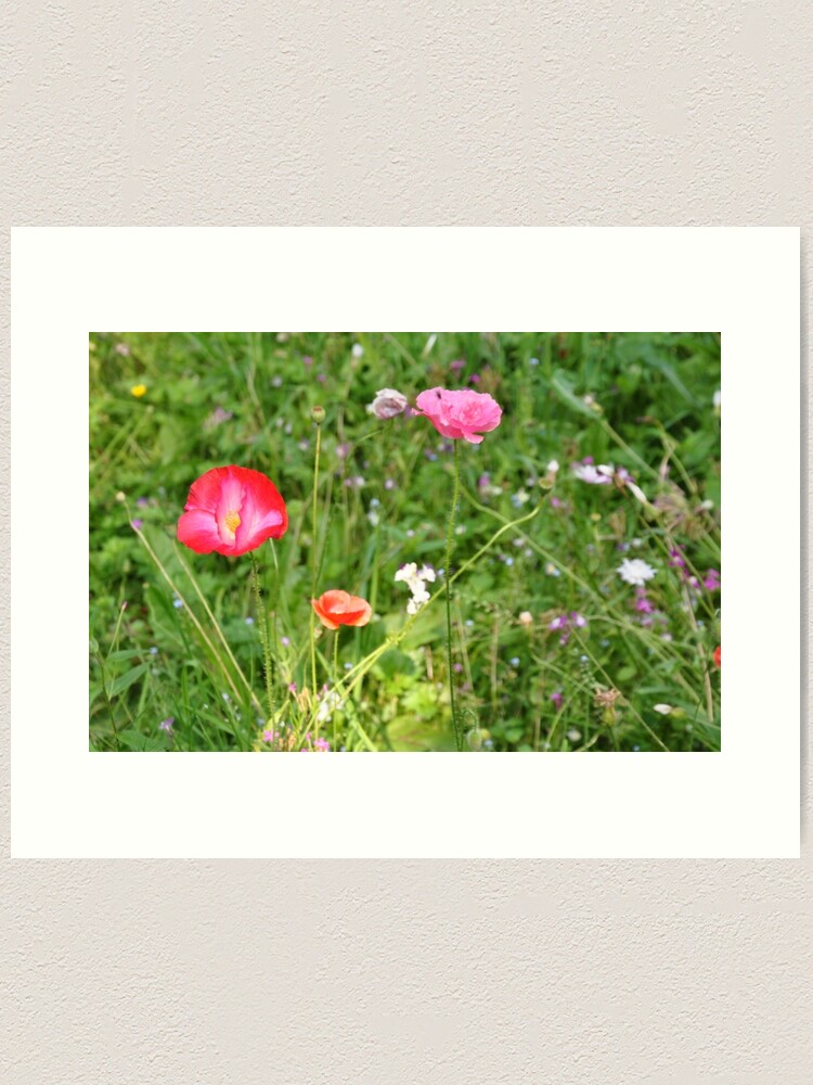 Alternate view of Spring flowers Art Print