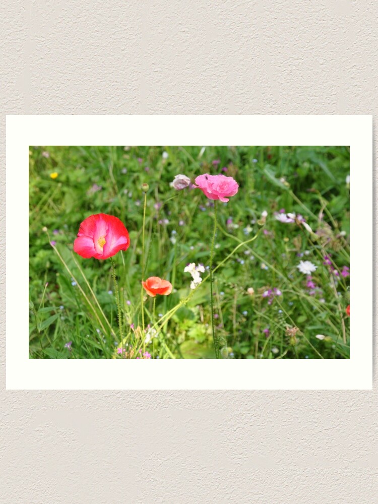 Alternate view of Spring flowers Art Print