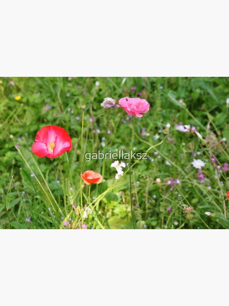 Spring flowers by gabriellaksz