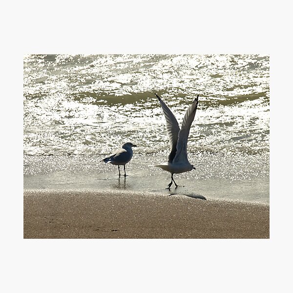 Take Off Photographic Print
