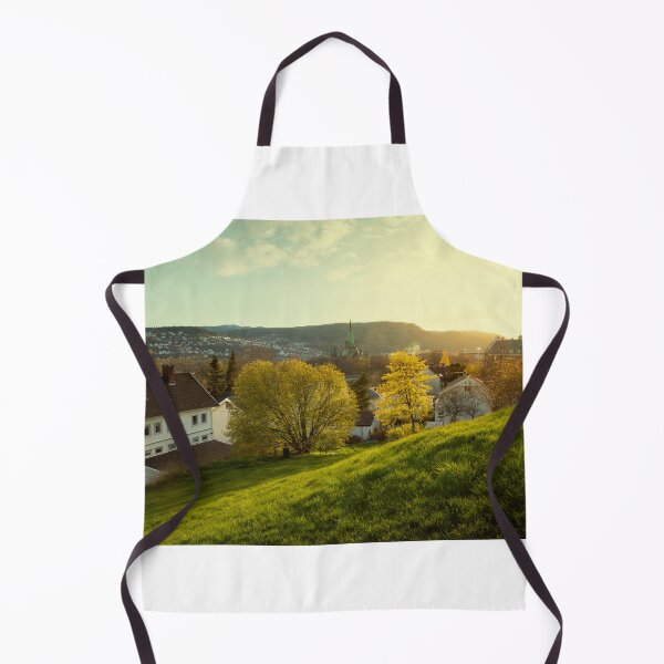 Item preview, Panorama of Trondheim town in Norway designed and sold by Mikołaj Niemczewski.