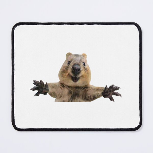 Item preview, Cute quokka hug designed and sold by Ashleysnook.