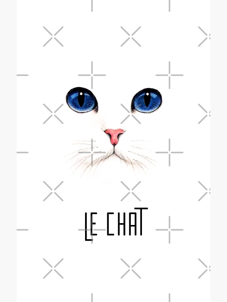 "Le Chat French Language for Male Cat" Poster by LTMtee Redbubble