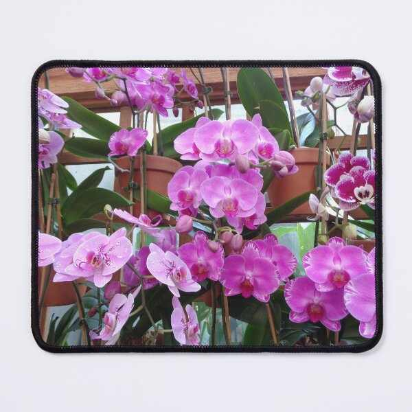 Item preview, Purple Orchids designed and sold by GardenArtworks.