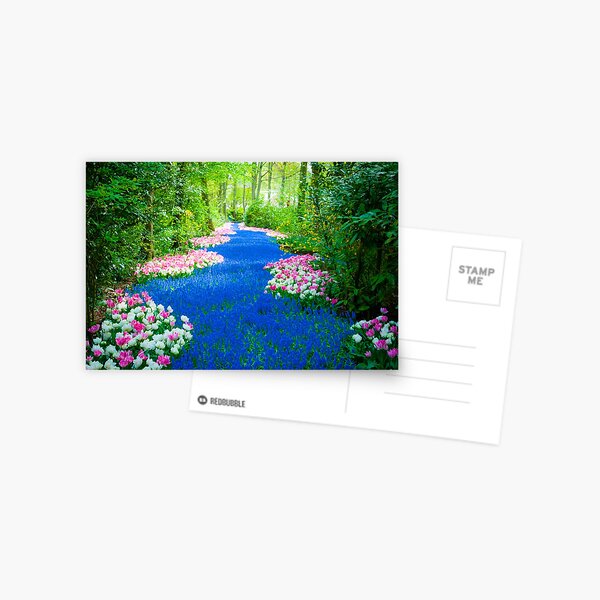 Aperçu de l'œuvre Chemin des fleurs @ Keukenhof créée et vendue par TohoPhoto.