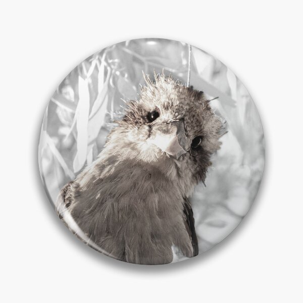 Item preview, Kookaburra Sits on an Old Gum Tree designed and sold by bella photoaus.