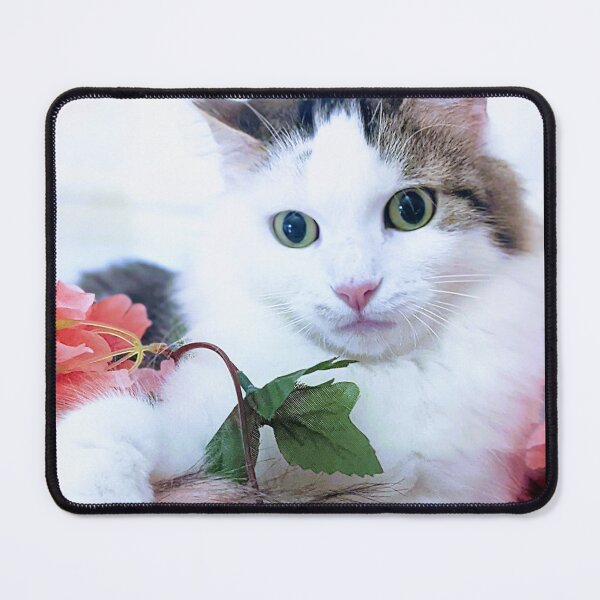 Item preview, Norwegian forest cat designed and sold by Fluffycat2020.
