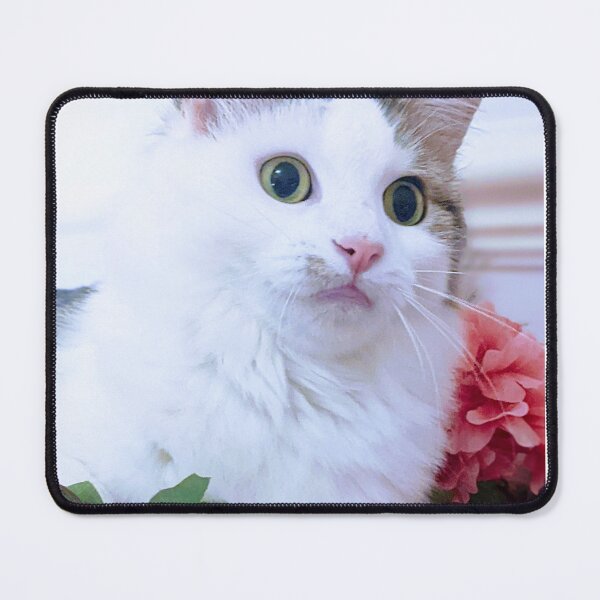Item preview, Norwegian forest cat designed and sold by Fluffycat2020.