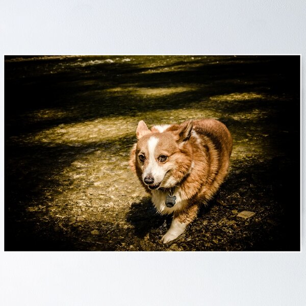 Item preview, Corgi in the River, Part 2 designed and sold by myself22889.