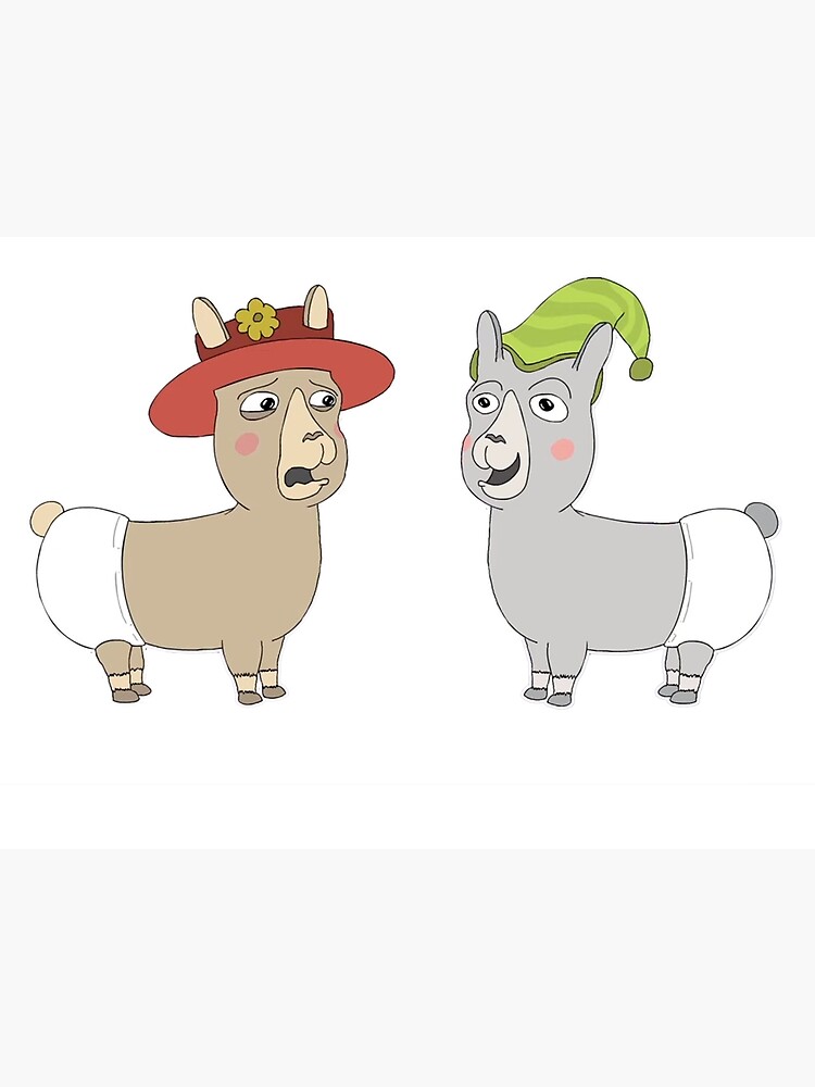 real llamas with hats