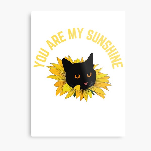 You are my sunshine lyrics sunflower cat meow poster canvas