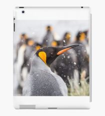 Gold Harbour King iPad Case/Skin