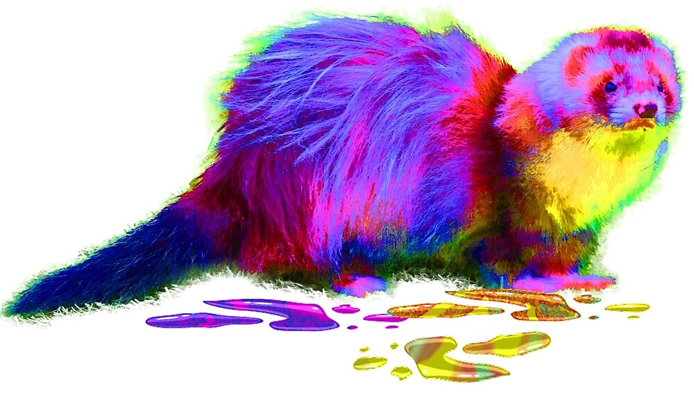"artistic ferret" by catjjleathem13 Redbubble