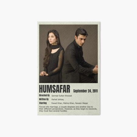 Mere Humsafar Ends Happily With A Nice, Neat Ending – Almost Too Neat - The  Brown Identity