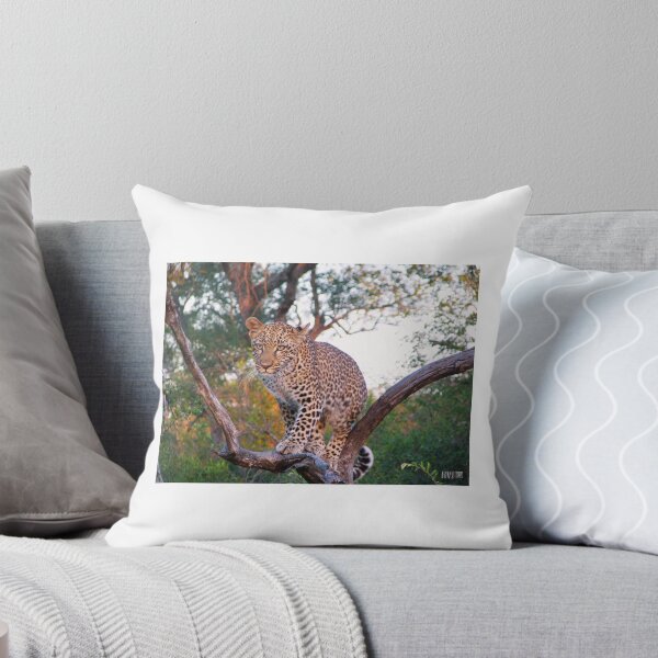 Item preview, Leopard in a Tree designed and sold by vonJohnstonArt.