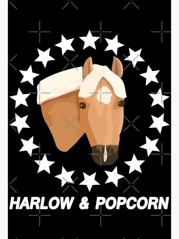 "Harlow And Popcorn Merch Popcorn The Pony" Poster by RanaMia Redbubble