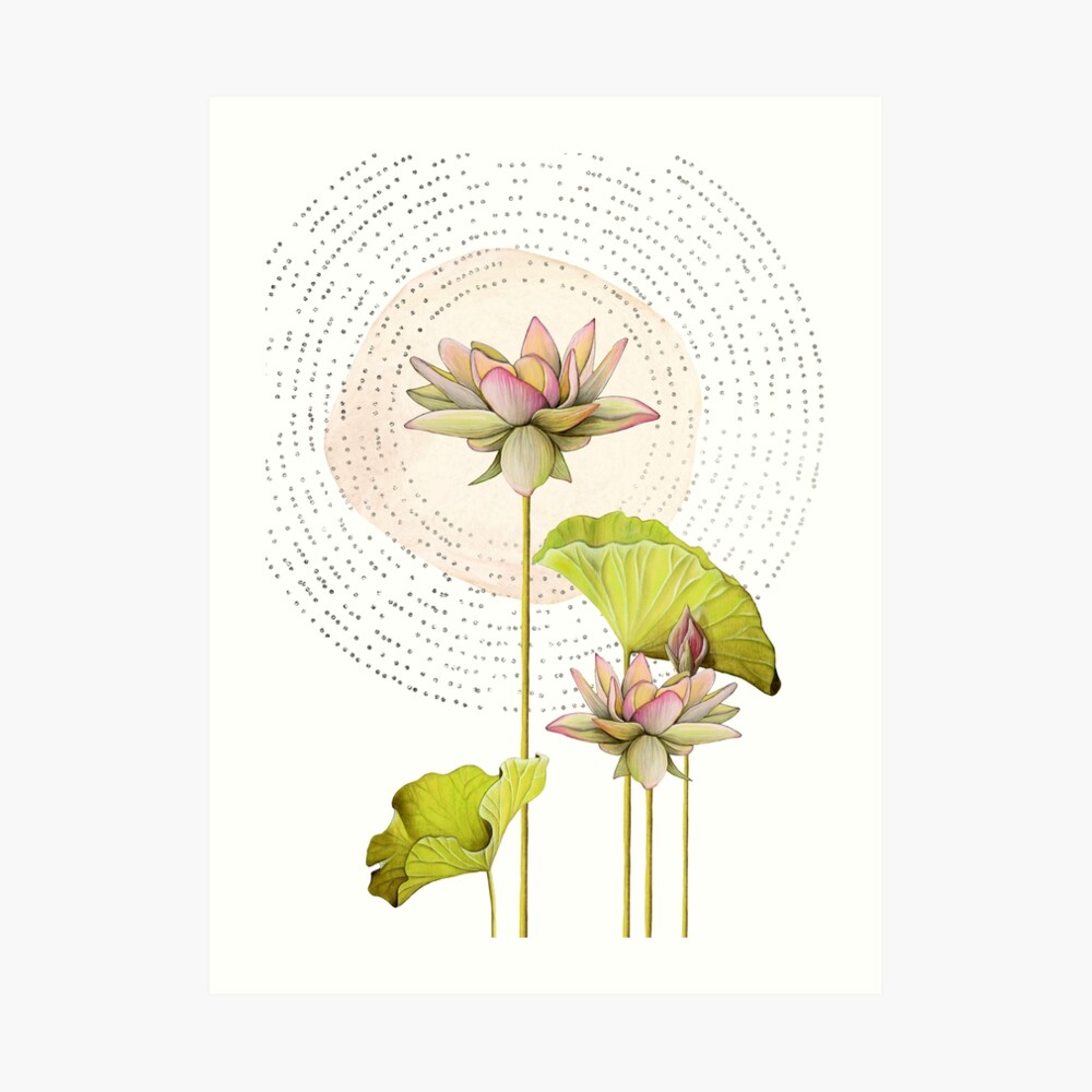 Pressed flowers, dried flowers, wildflowers, floral wall art Art Board  Print for Sale by FantasyShades