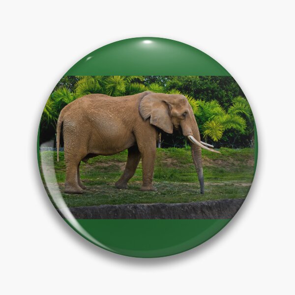 Item preview, Elephant At Ukumari designed and sold by alabca.