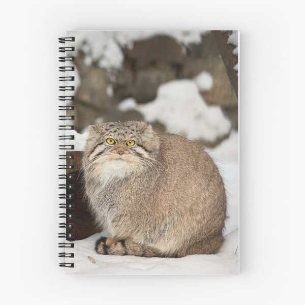 Item preview, Eve the Pallas's Cat is enjoying a sunny day designed and sold by Manulization.