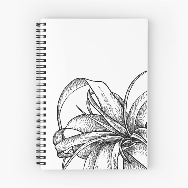 Item preview, Sketch of airplant Tillandsia.  designed and sold by Bokasana.