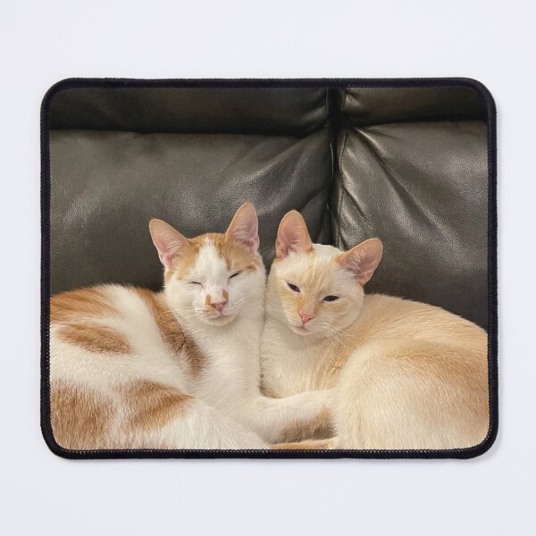 Item preview, Binx and Tony - BFFs designed and sold by NeuroDan.