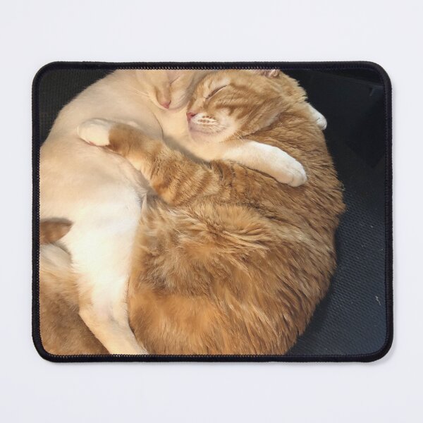 Item preview, Leroy and Binx Sleeping designed and sold by NeuroDan.