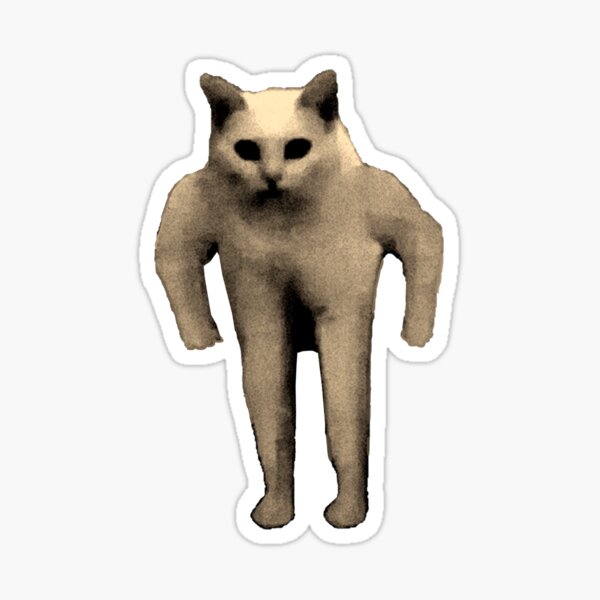 Muscular Cat Meme Gifts & Merchandise for Sale | Redbubble