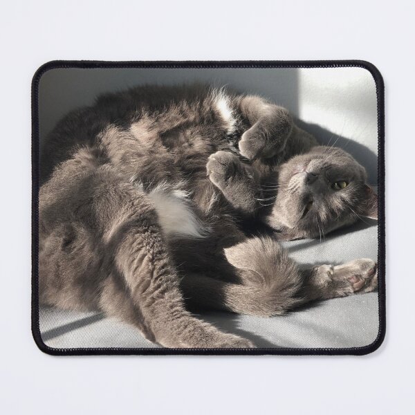Item preview, Amelia snoozing designed and sold by NeuroDan.