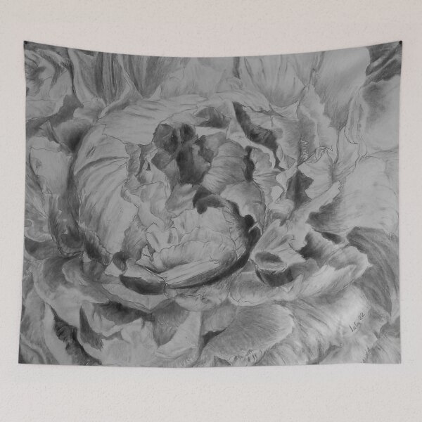 Item preview, Black and White Peony flower in full bloom Drawing designed and sold by AngelaHart1.