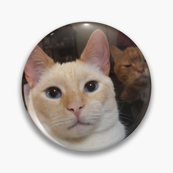 Item preview, Binx and Leroy designed and sold by NeuroDan.