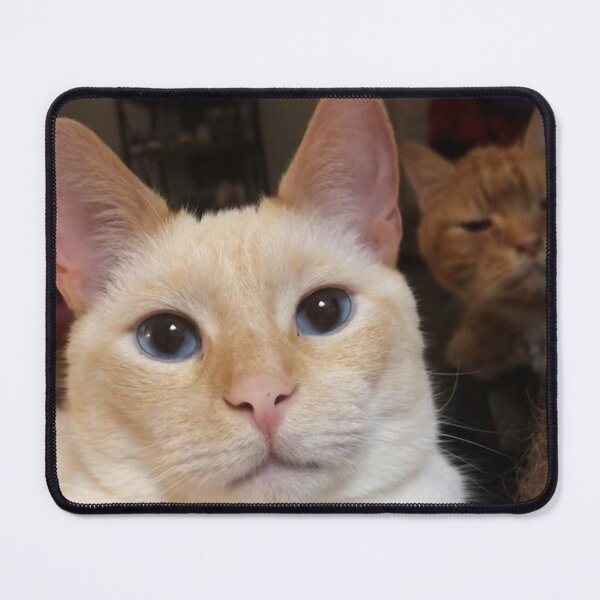 Item preview, Binx and Leroy designed and sold by NeuroDan.
