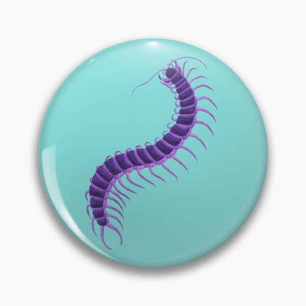 Item preview, Violet Purple Centipede on Aqua Turquoise Blue Green Background modeled after antique biology book illustration from 1803 designed and sold by Vicki Noble Art.