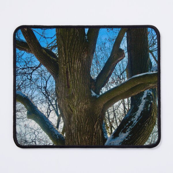 Item preview, Winter Tree designed and sold by Shulie1.