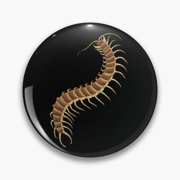 Item preview, Centipede on Black Background modeled after antique biology book illustration from 1803 designed and sold by Vicki Noble Art.