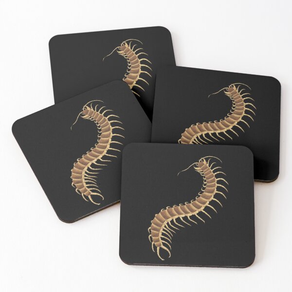 Item preview, Centipede on Black Background modeled after antique biology book illustration from 1803 designed and sold by Vicki Noble Art.