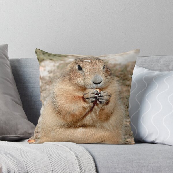 Item preview, perrito de las praderas comiendo un bocadillo designed and sold by Slalon85.