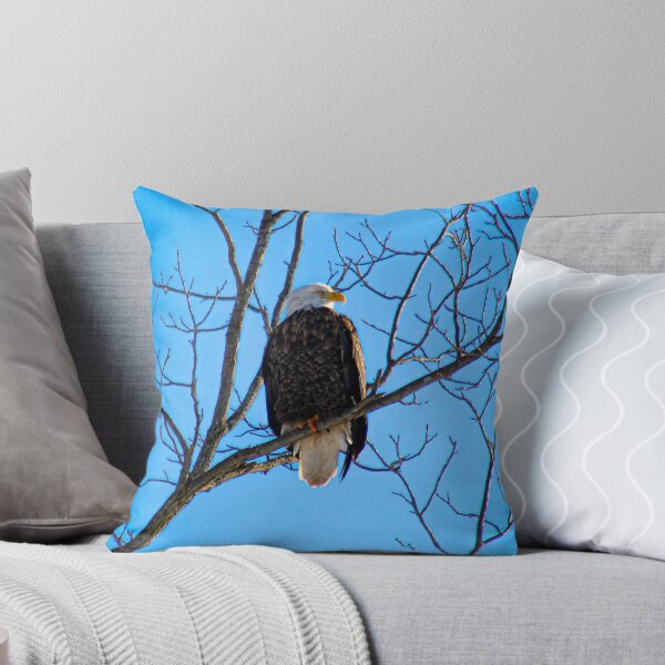 Item preview, V0029 Bald Eagle designed and sold by photographyemd.