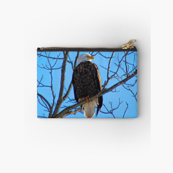 Item preview, V0029 Bald Eagle designed and sold by photographyemd.