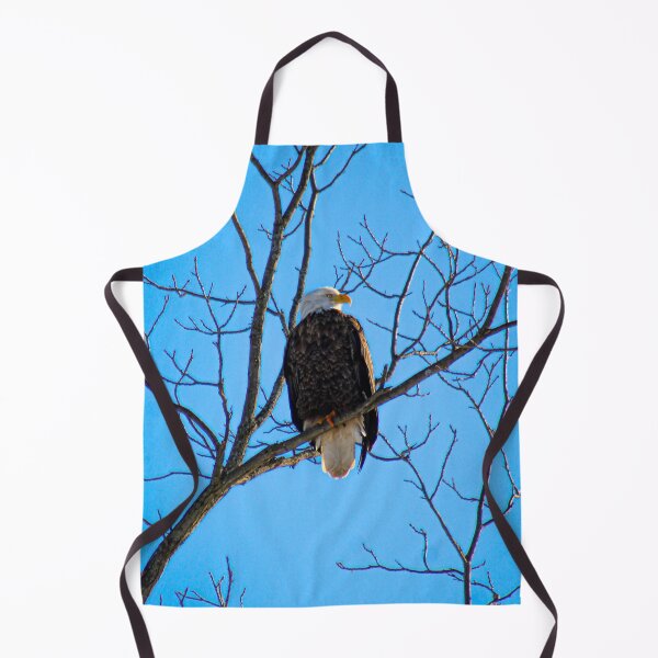 Item preview, V0029 Bald Eagle designed and sold by photographyemd.
