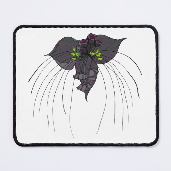 Item preview, Black Bat flower or devil plant.  designed and sold by Bokasana.