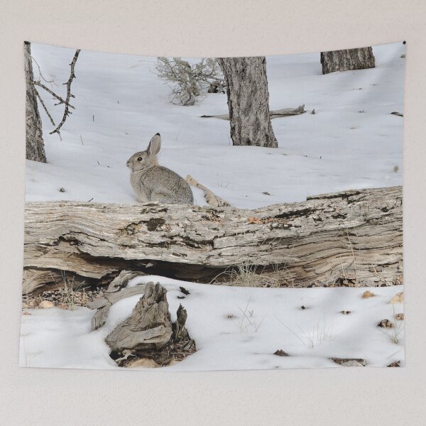 Item preview, Snow Bunny designed and sold by Gritz - Photographer, AI Artist.