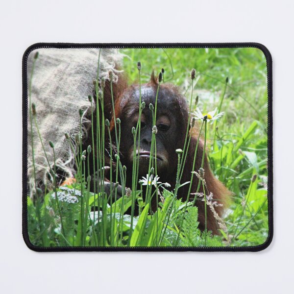 Item preview, Sumatran Urangatan designed and sold by Ladymoose.
